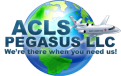 ACLS Pegasus LLC providing safe and reliable air charter transportation.